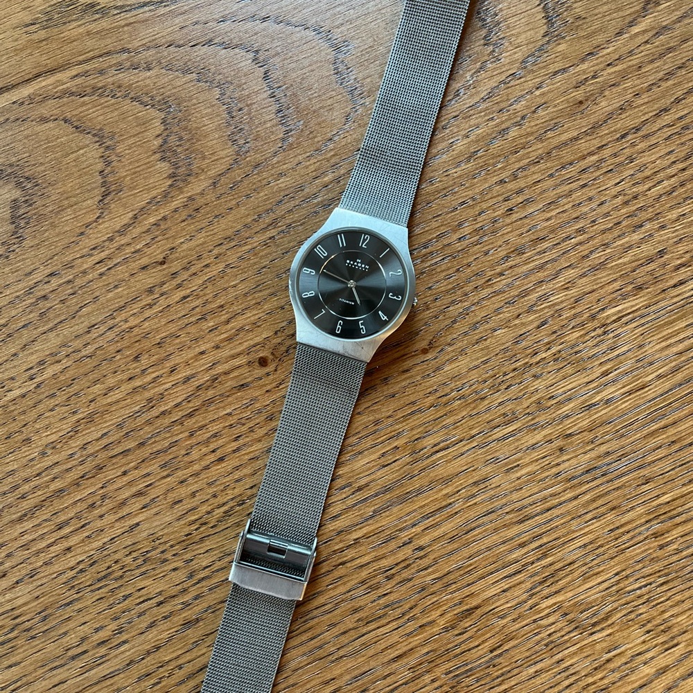 Skagen Silver Mesh Watch